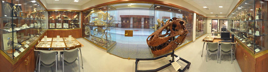Museum of Biodiversity