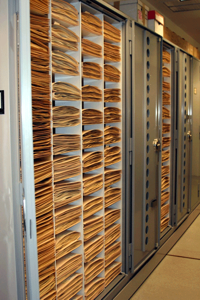 Greene Herbarium Type Collection